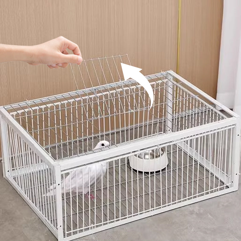 Humane Bird Trap with 2 or 4 Entrances