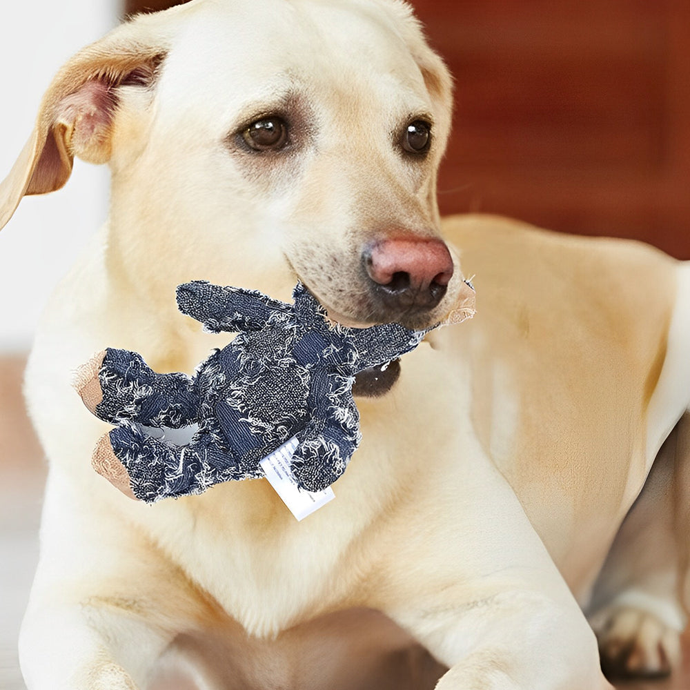 Indestructible Tough Bear