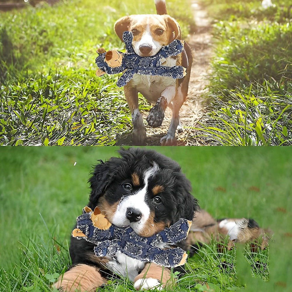 Indestructible Tough Bear