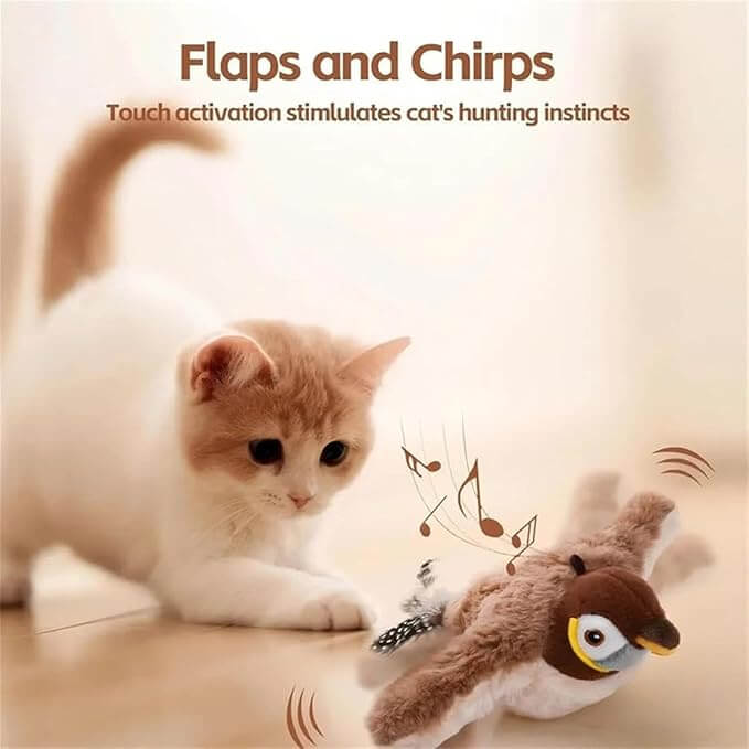 Interactive Bird Cat Toy