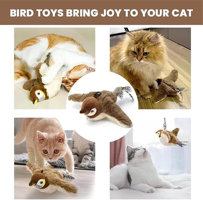 Interactive Bird Cat Toy