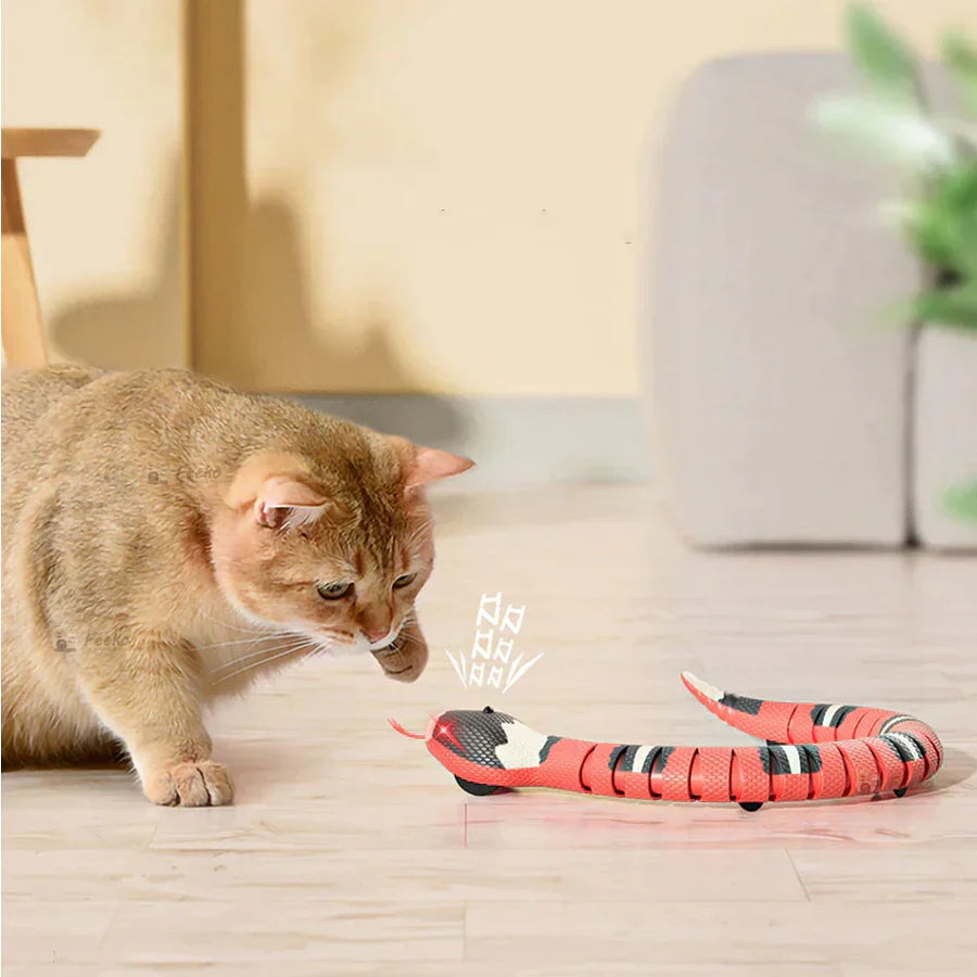 Interactive Cat Toy