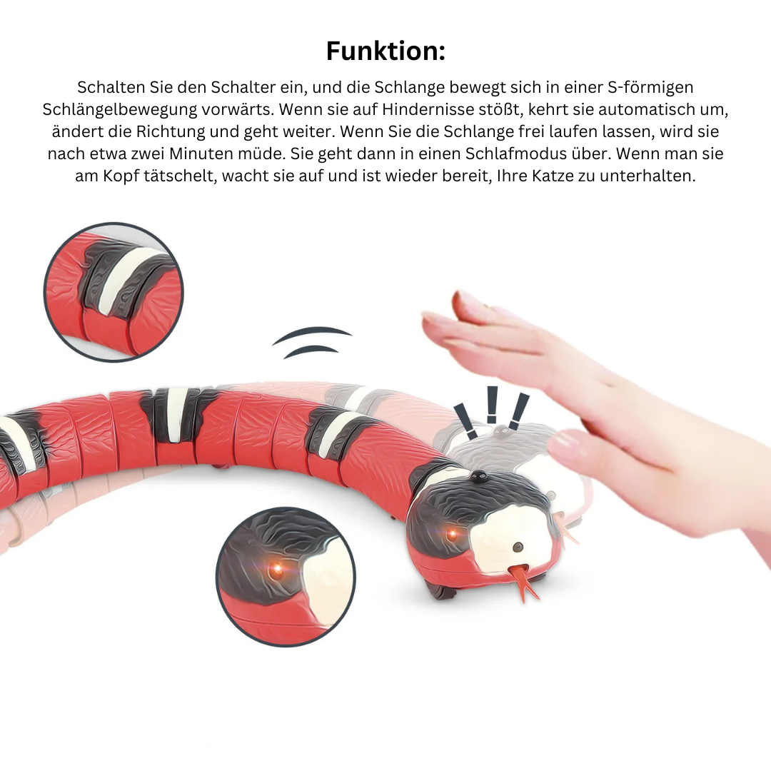 Interactive Cat Toy