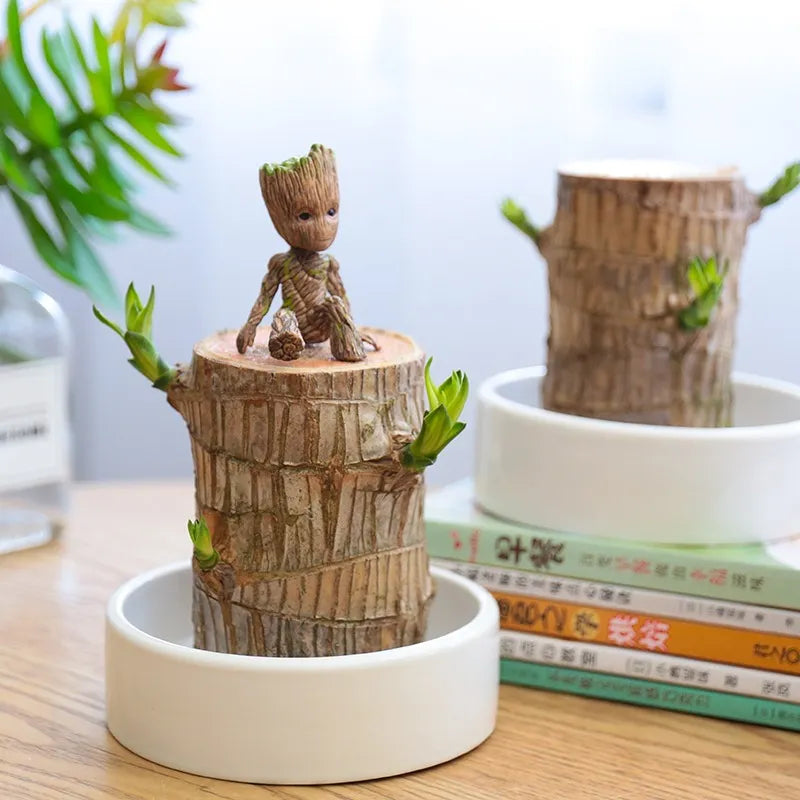 Lucky Brazilian Wood - Natural Air Purifier