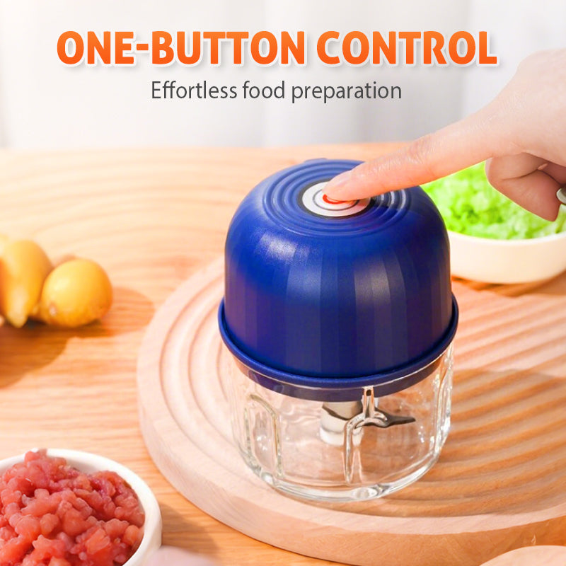 Mini Food Chopper and Processor for Quick and Easy Cooking