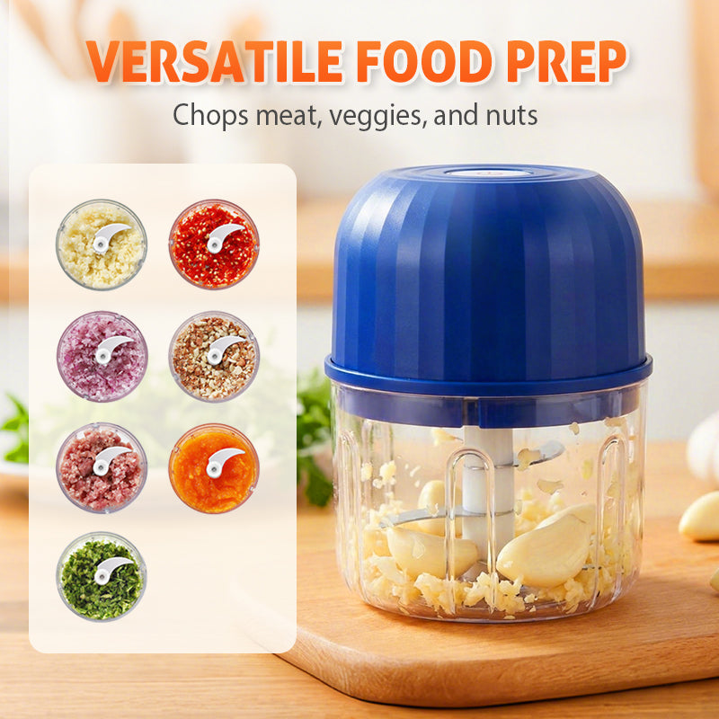 Mini Food Chopper and Processor for Quick and Easy Cooking