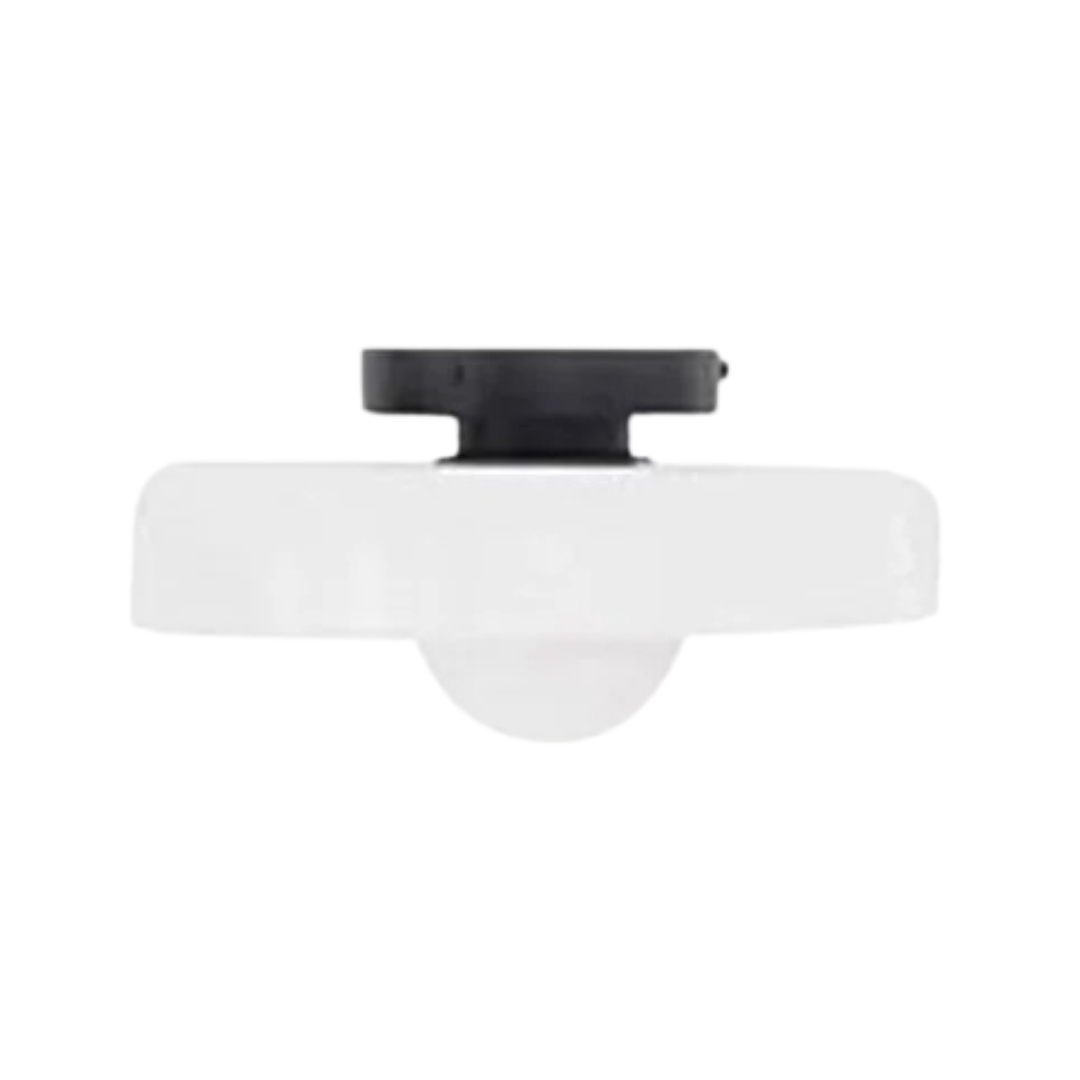 Modern Ceiling Light with Stylish Colours