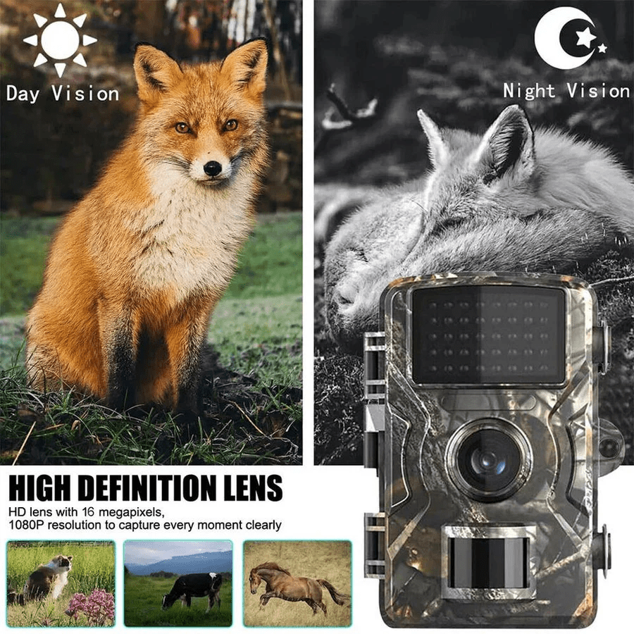 Night Vision Outdoor Wildlife & Security Camera