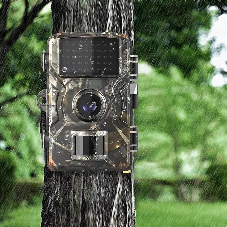 Night Vision Outdoor Wildlife & Security Camera