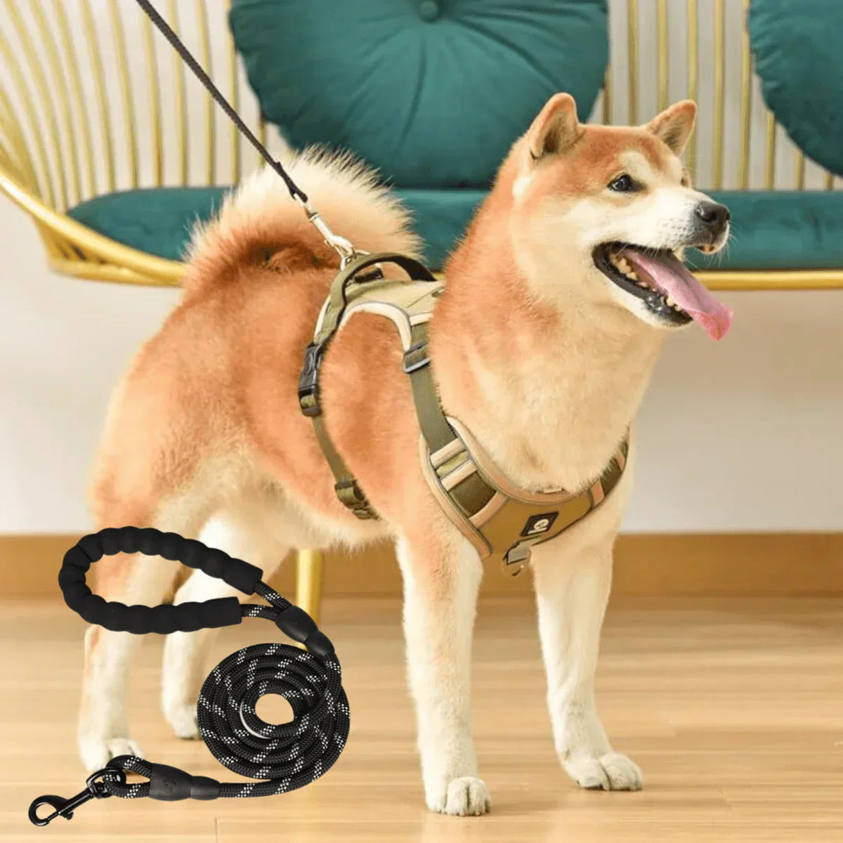 No-Pull Dog Harness with Comfort Padding – PullFree