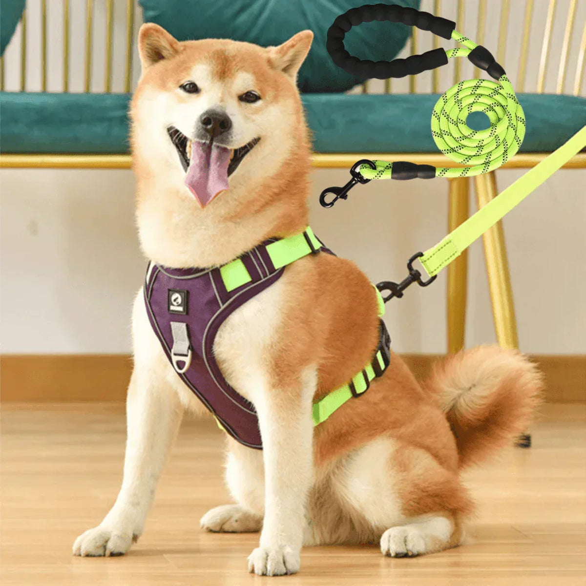No-Pull Dog Harness with Comfort Padding – PullFree
