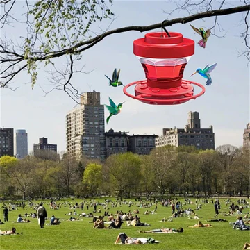 Outdoor Hanging Bee-Proof Hummingbird Feeder with Perch