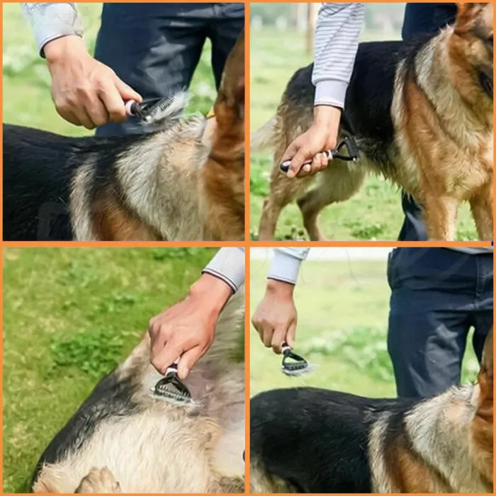 Pet Brush for Long- and Short-Haired Pets