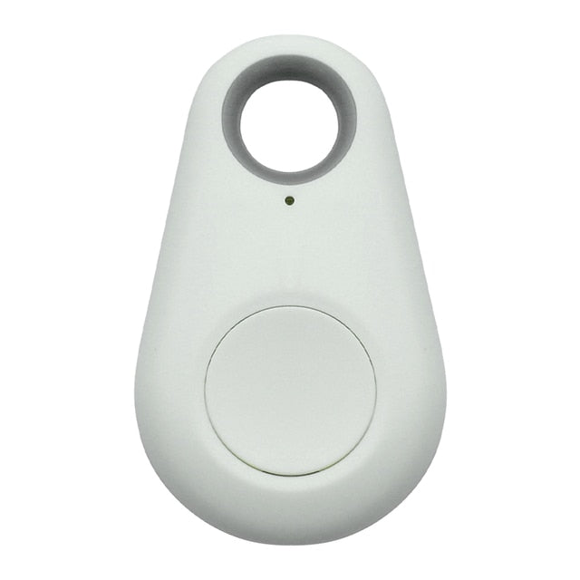 Pet GPS Tag