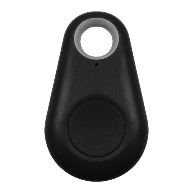 Pet GPS Tag