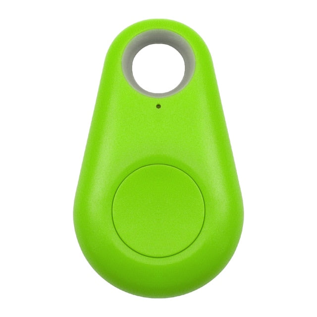 Pet GPS Tag