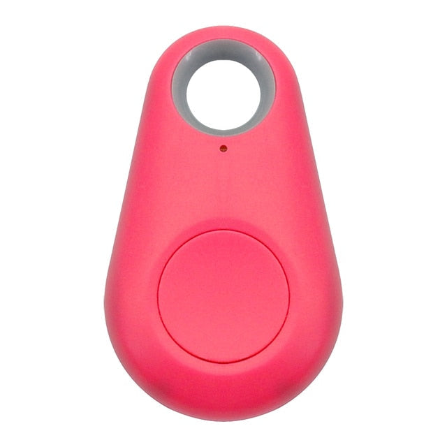 Pet GPS Tag