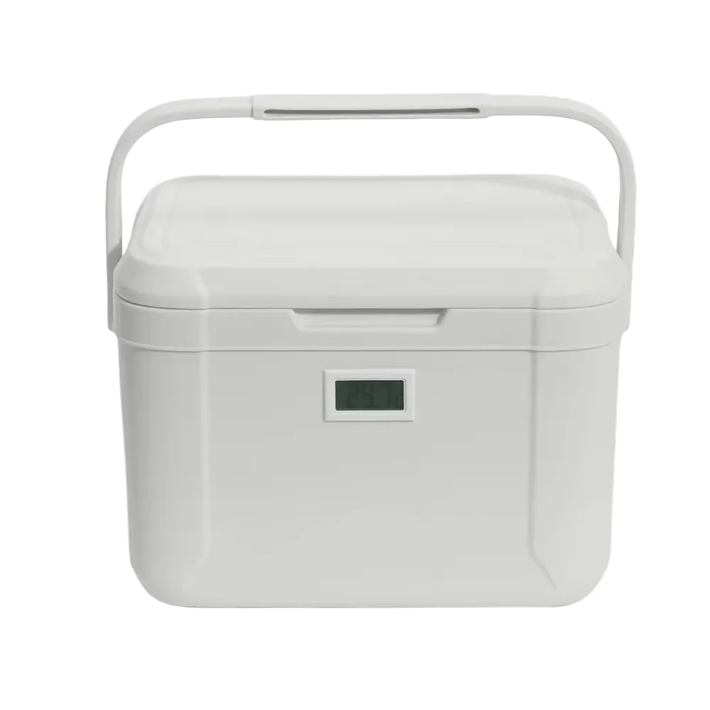 Portable 5-Liter Mini Cooler for Car and Camping