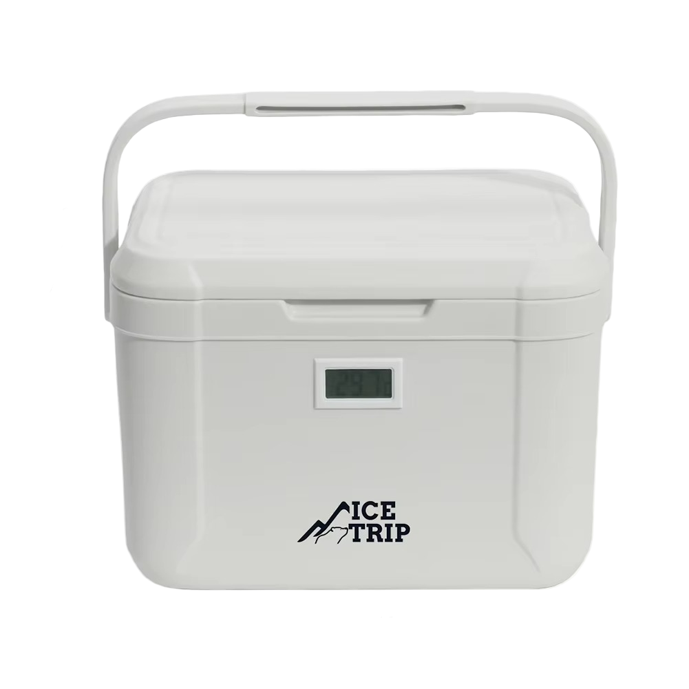 Portable Mini Cooler Box for Car and Camping – Compact Design
