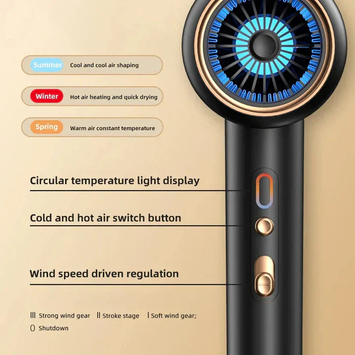 Professional 2400W Hair Dryer with Ionic Technology
