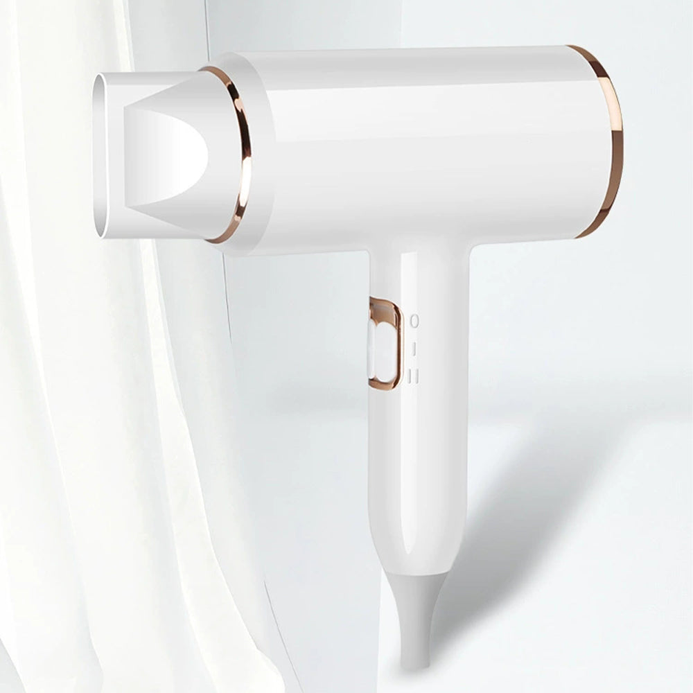 Professional 2400W Negative Ion Hair Dryer with Hot and Cold Air for Salon Results