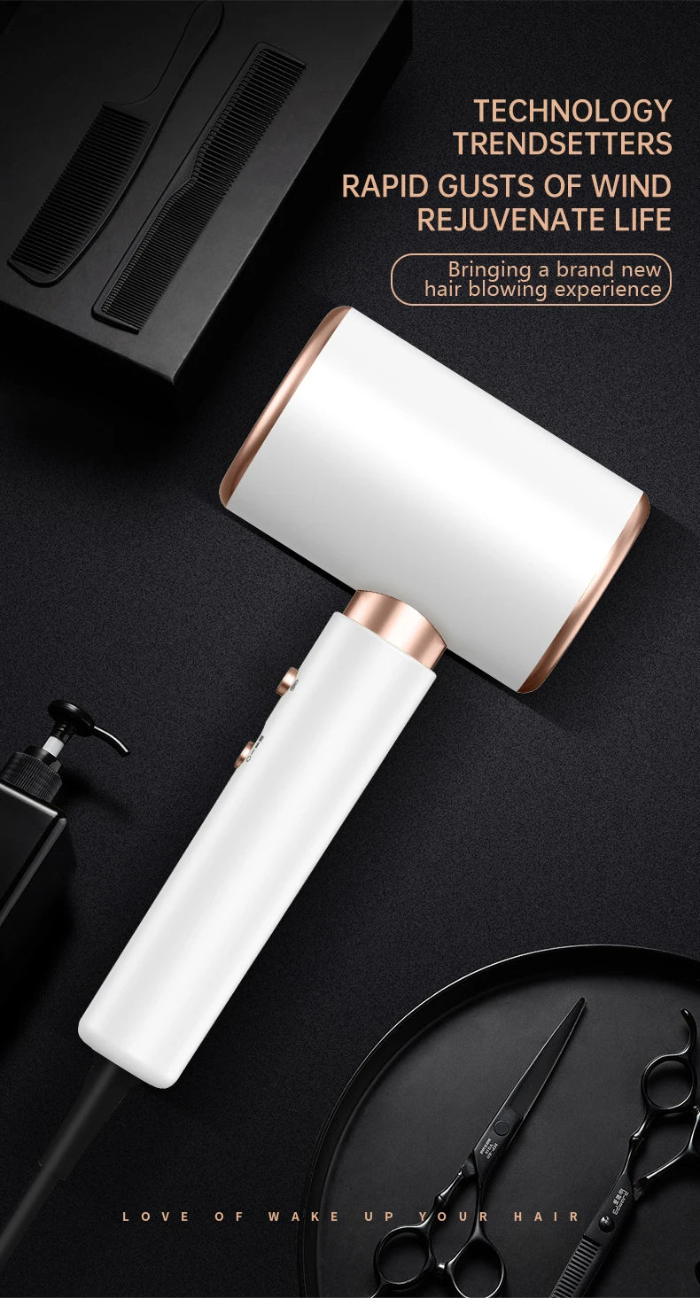 Professional 2400W Negative Ion Hair Dryer with Hot and Cold Air for Salon Results