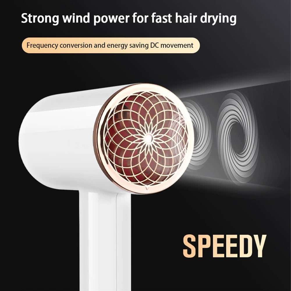 Professional 2400W Negative Ion Hair Dryer with Hot and Cold Air for Salon Results