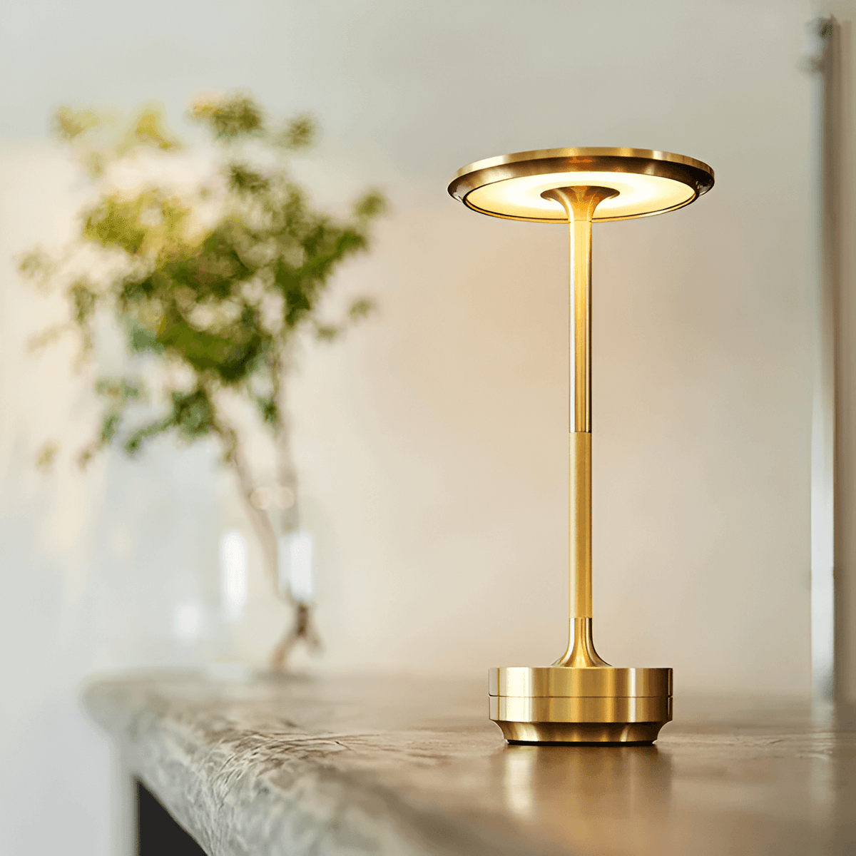 Rechargeable Cordless LED Table Lamp