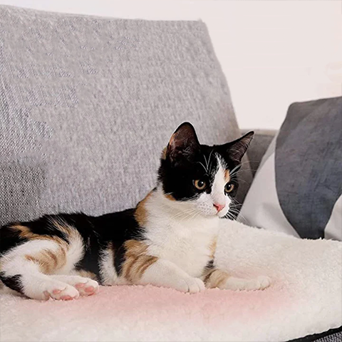 Self-Warming Cat Mat - Luxurious, Washable, Non-Electric
