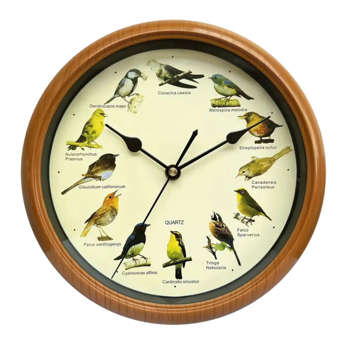 Singing Bird Wall Clock for Home Decoration