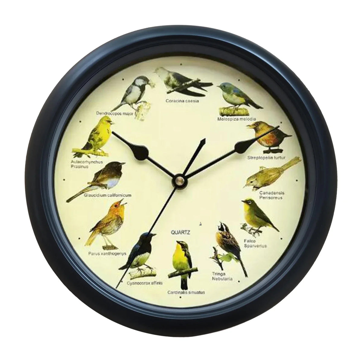 Singing Bird Wall Clock for Home Decoration