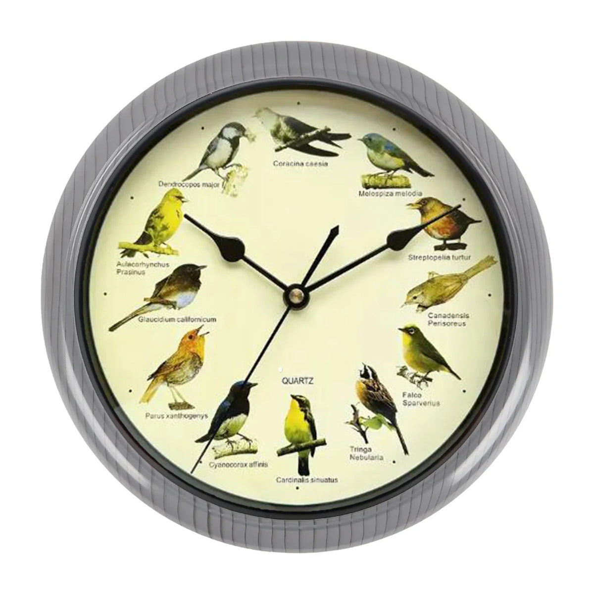 Singing Bird Wall Clock for Home Decoration