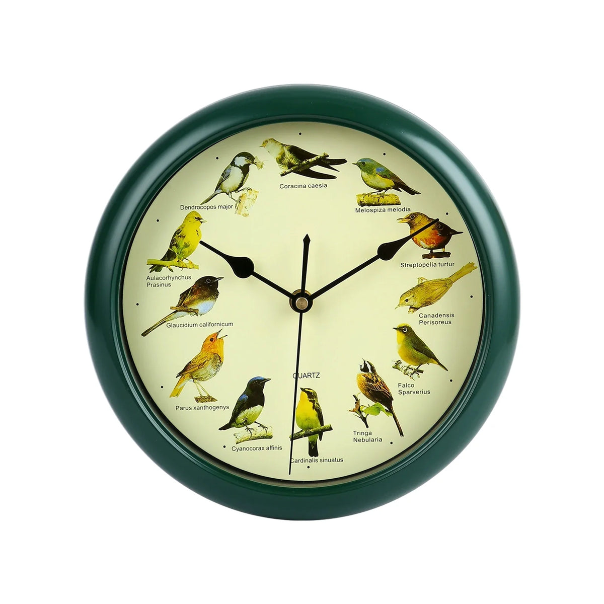 Singing Bird Wall Clock for Home Decoration