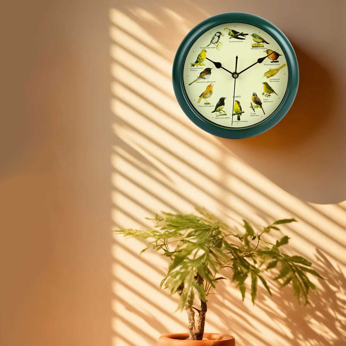Singing Bird Wall Clock for Home Decoration