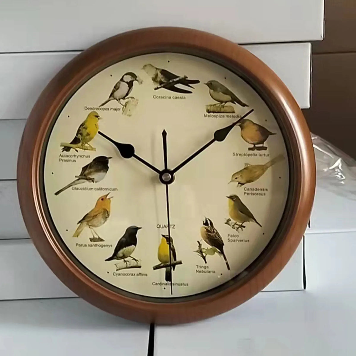 Singing Bird Wall Clock for Home Decoration
