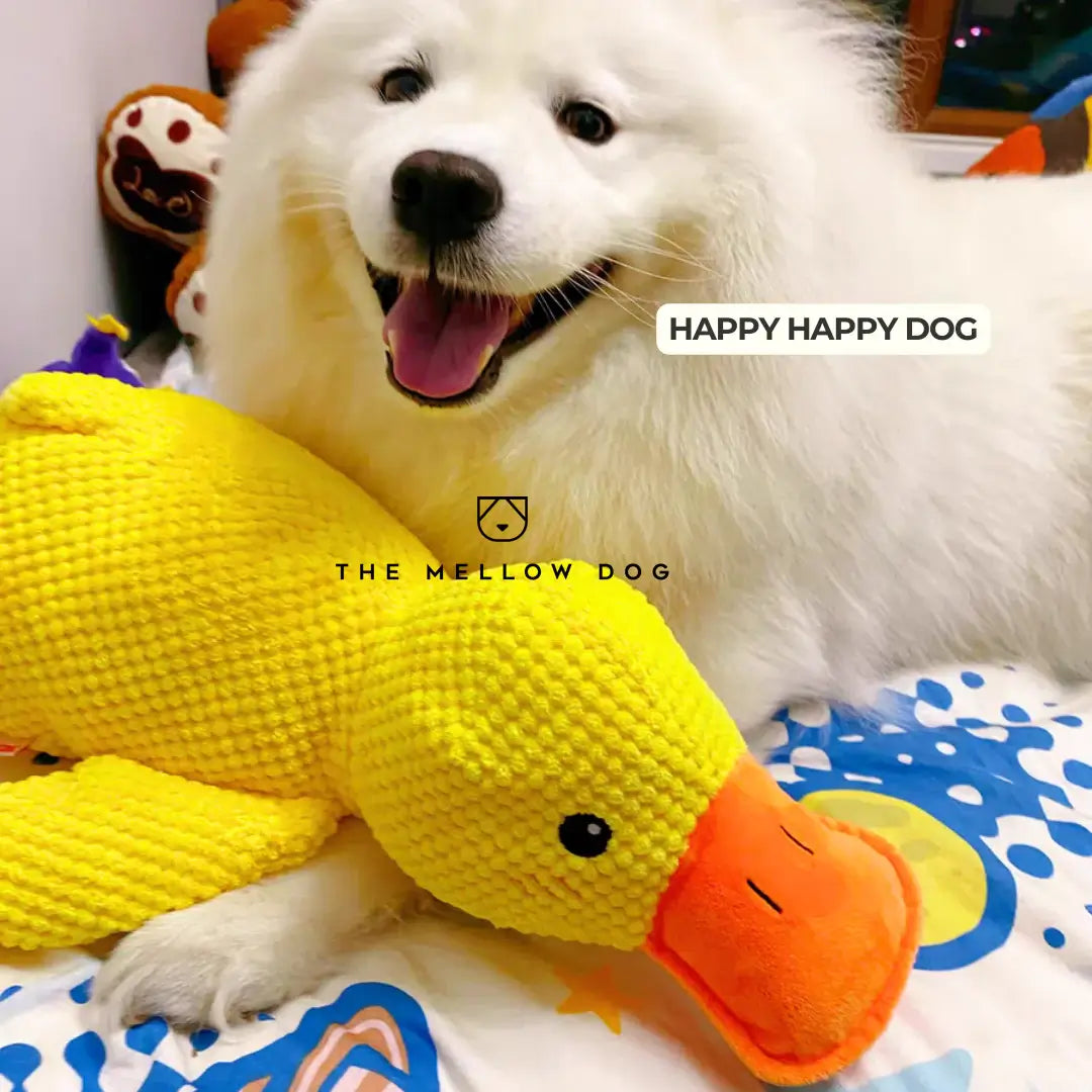 Soothing Duck Dog Toy