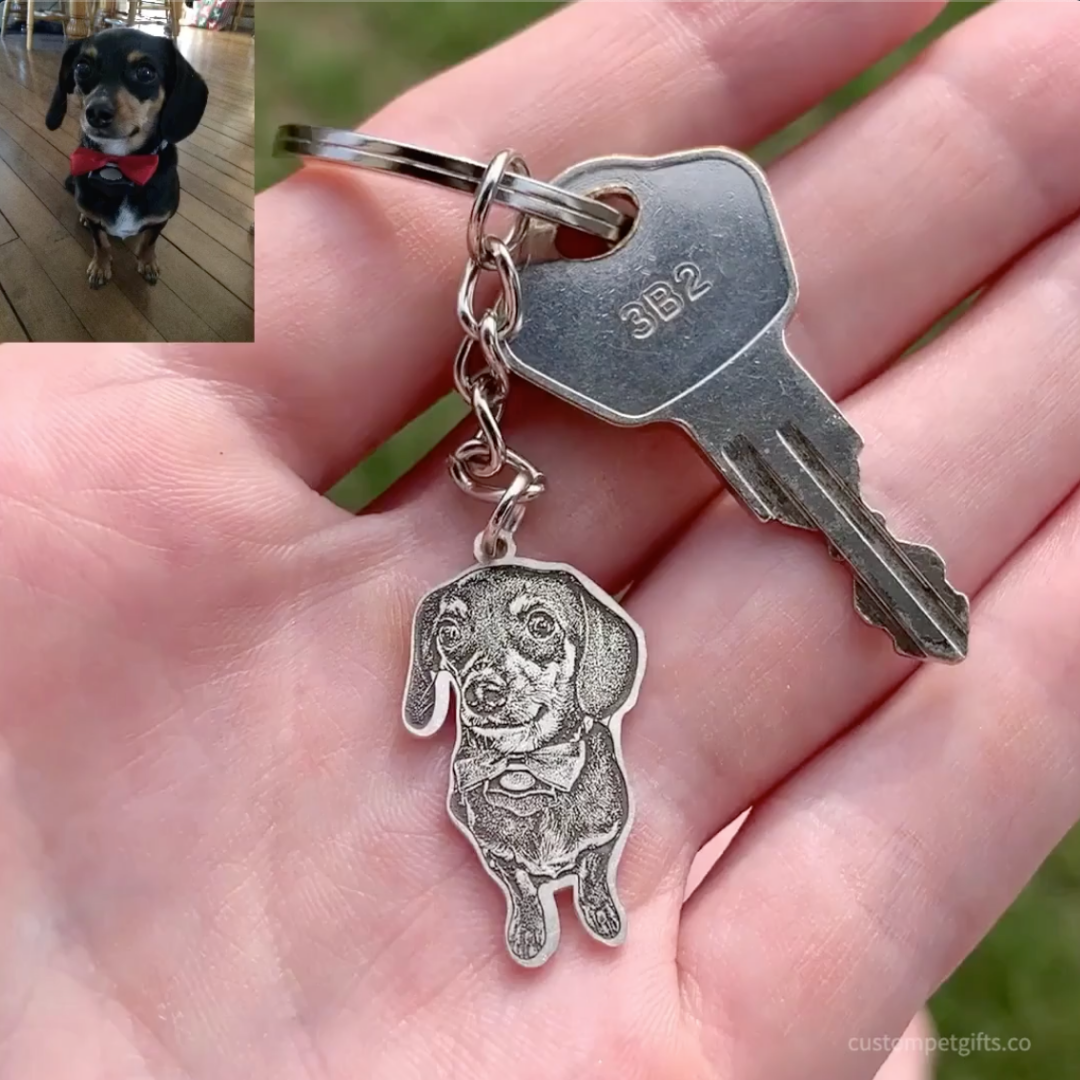 Soul Keychain | Feel the Joy of Precious Moments with Your Pet Every Day