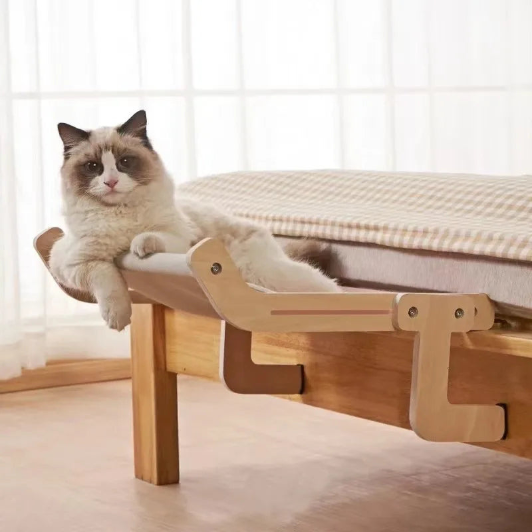 Space-Saving Cat Hammock