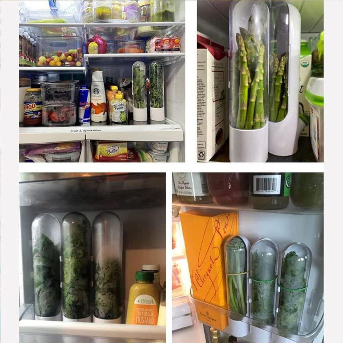 Space-Saving Herb Keeper – Ensures Long-Lasting Freshness and Minimizes Waste
