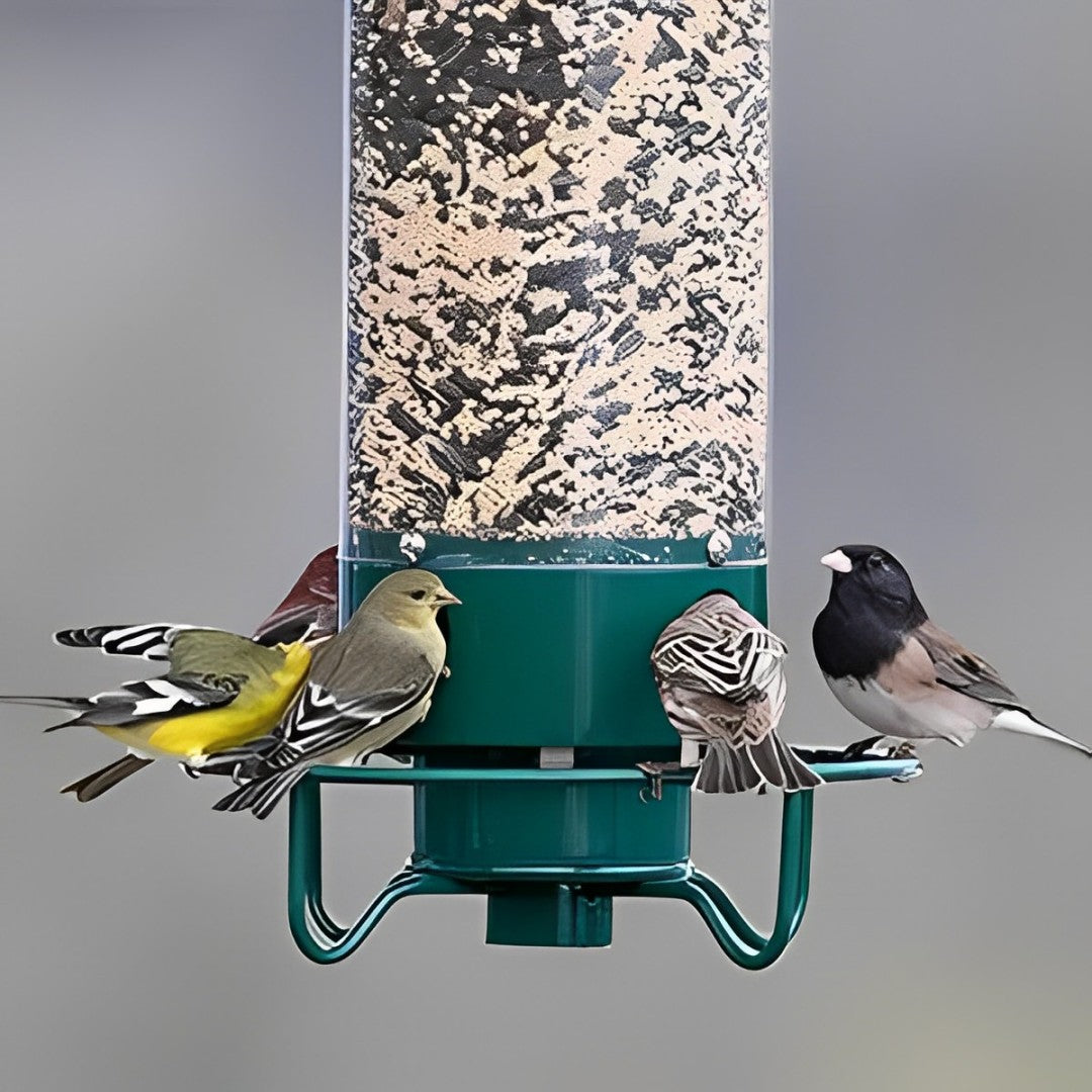 Squirrel-Proof Hanging Bird Feeder – Durable Metal and Polycarbonate, Suitable for Various Seeds, Green