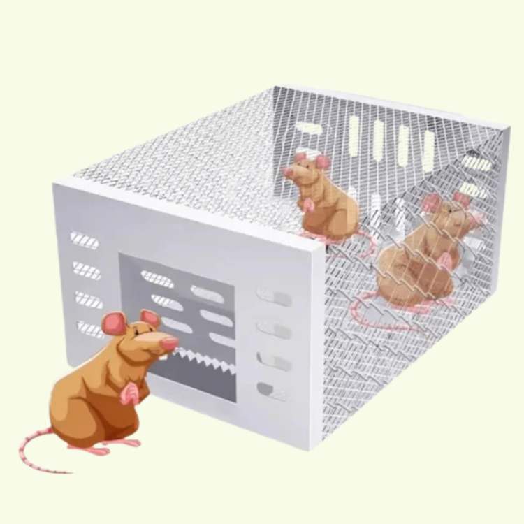 Stainless Steel Mouse Trap