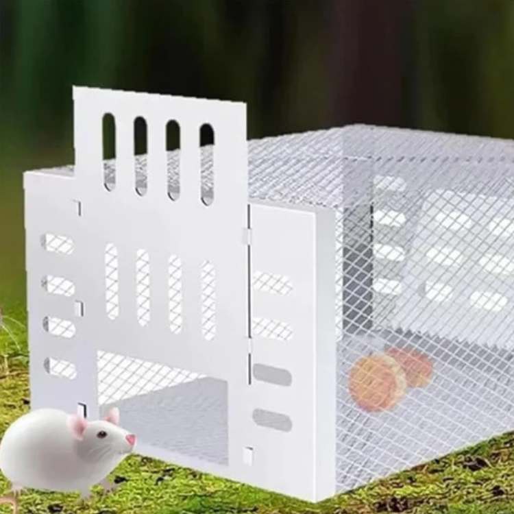 Stainless Steel Mouse Trap