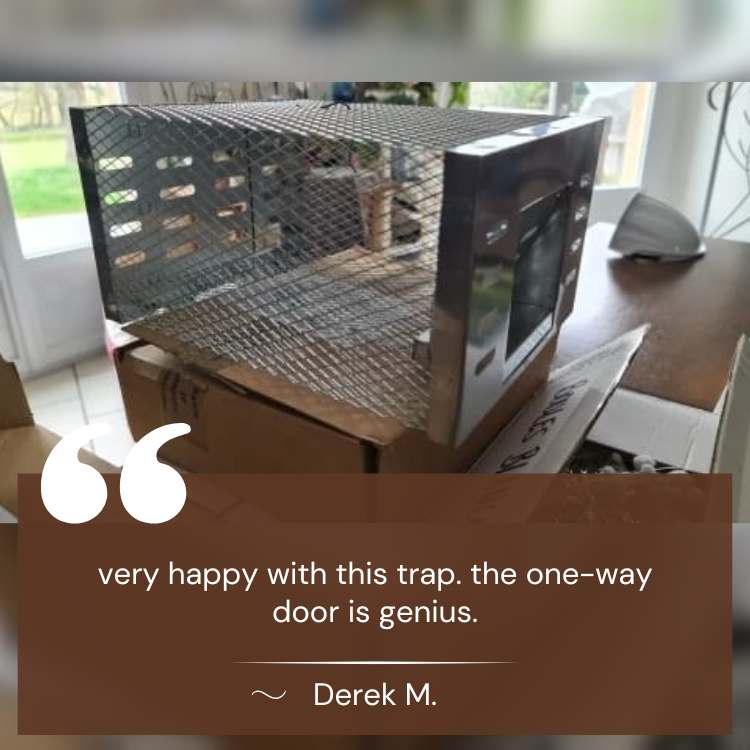 Stainless Steel Mouse Trap
