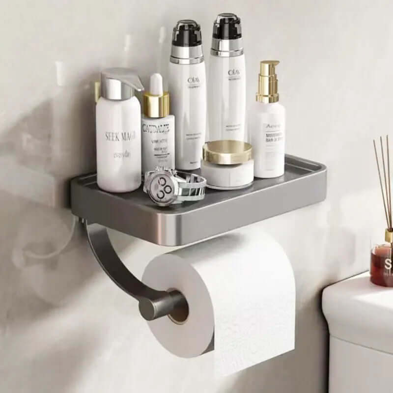 Stainless Steel Toilet Paper Holder with Shelf