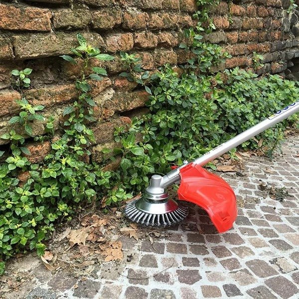 Steel Weed Brush