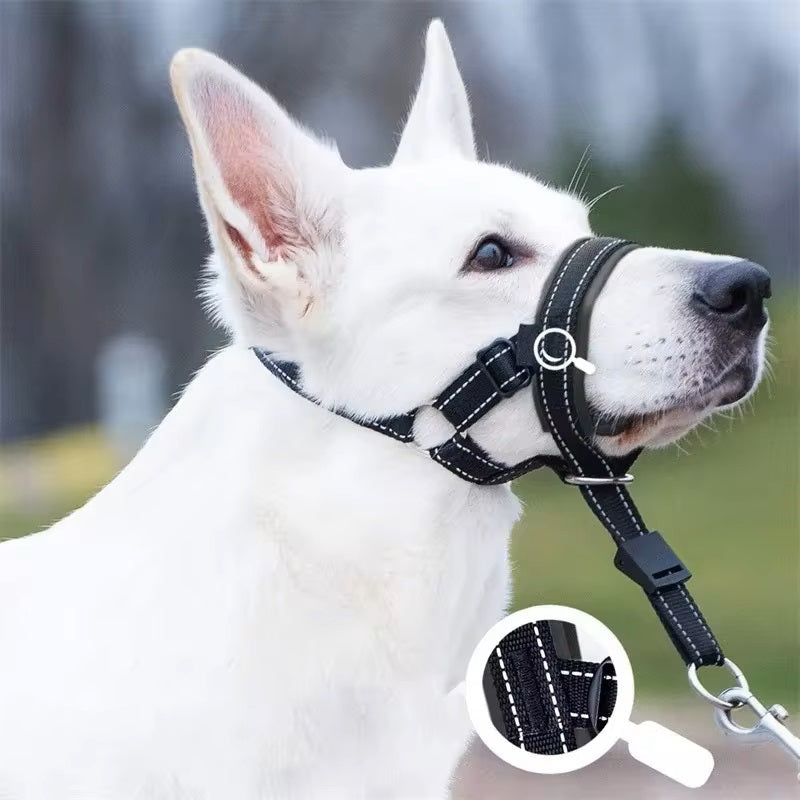 Stop Barking and Biting Without Stress
