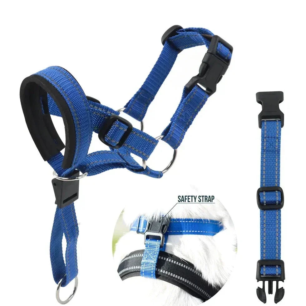 Stop Barking and Biting Without Stress