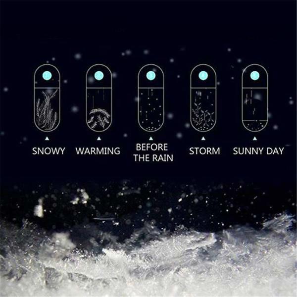 Storm Glass Weather Forecast Bottle Desktop Barometer with Wooden Base