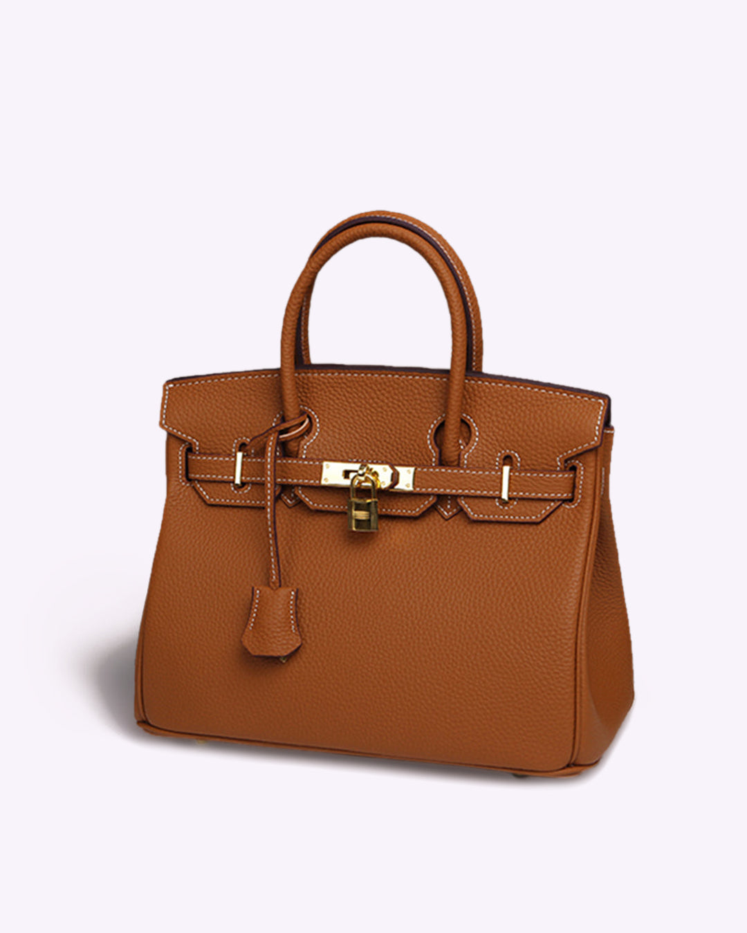 Subtle Luxury Handbag