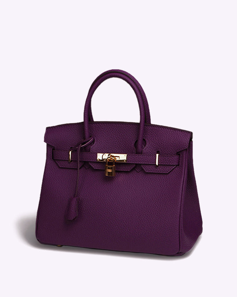 Subtle Luxury Handbag